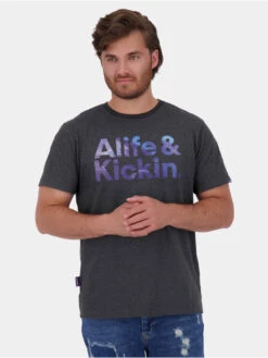 Herren T-Shirt Logo Icon In Grau