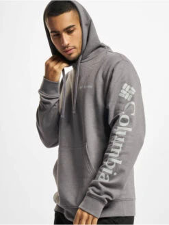 Columbia Herren Hoody Viewmont™ Graphic In Grau