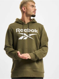 Reebok Herren Hoody RI FT OTH BL In Grün