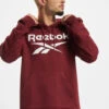 Reebok Herren Hoody RI FT OTH BL In Rot