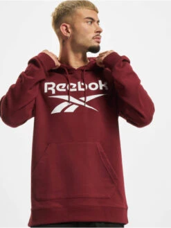 Reebok Herren Hoody RI FT OTH BL In Rot